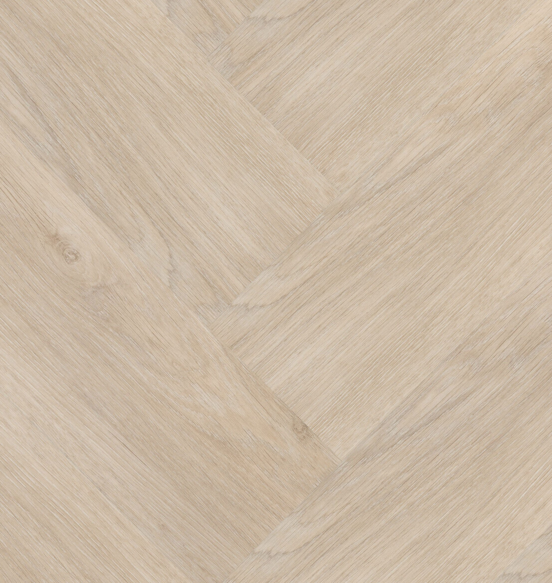 Chapelle Visgraat XL 57842 | Hebeta